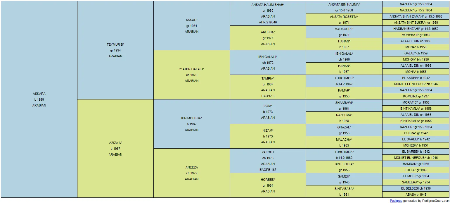 Pedigree Askara